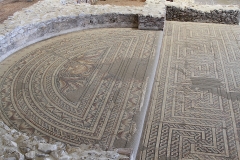 Villa romana de Almenara-Puras