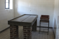 Mauthausen, autopsias