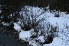 Valle de Pineta, invierno